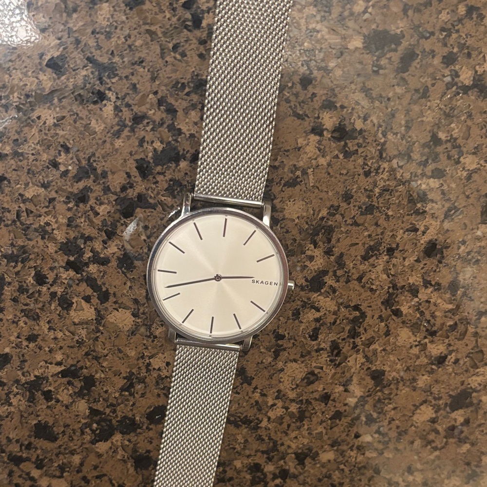 Skagen Silver Watch with White Dial